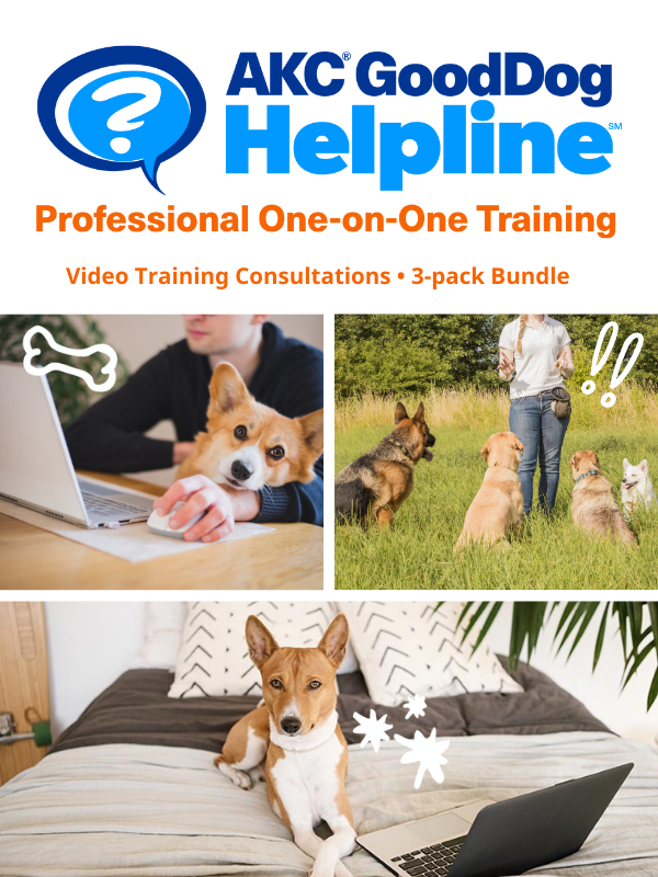 AKC GoodDog Helpline Video Training Consultations Bundle