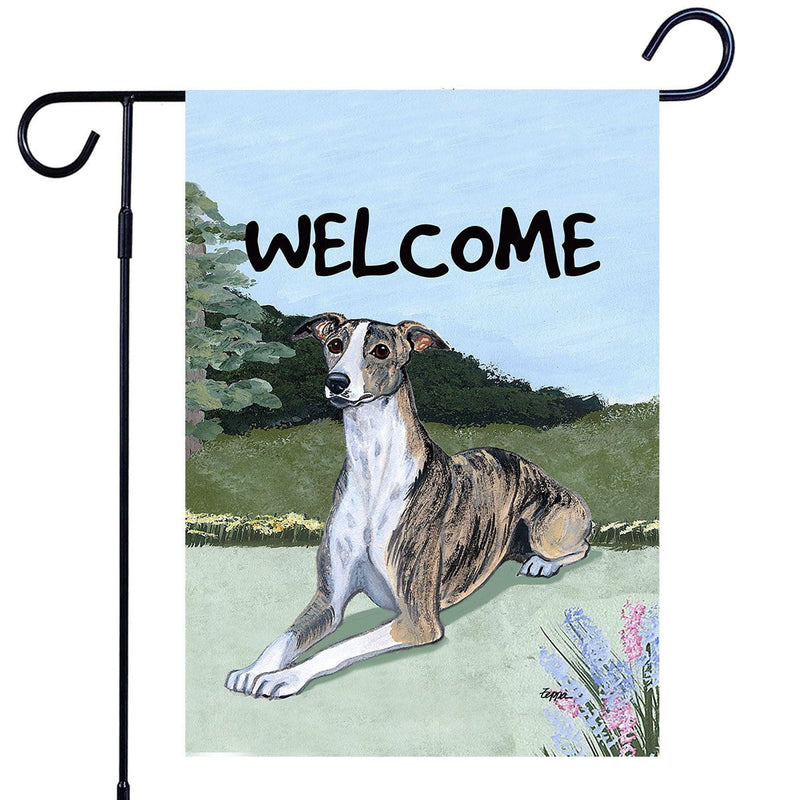 Per la prima volta un cane italiano vince il Cruft show: è Miuccia, una Whippet di Venezia - la Per la prima volta un cane italiano vince il Cruft show: è Miuccia, una Whippet di Venezia - la
