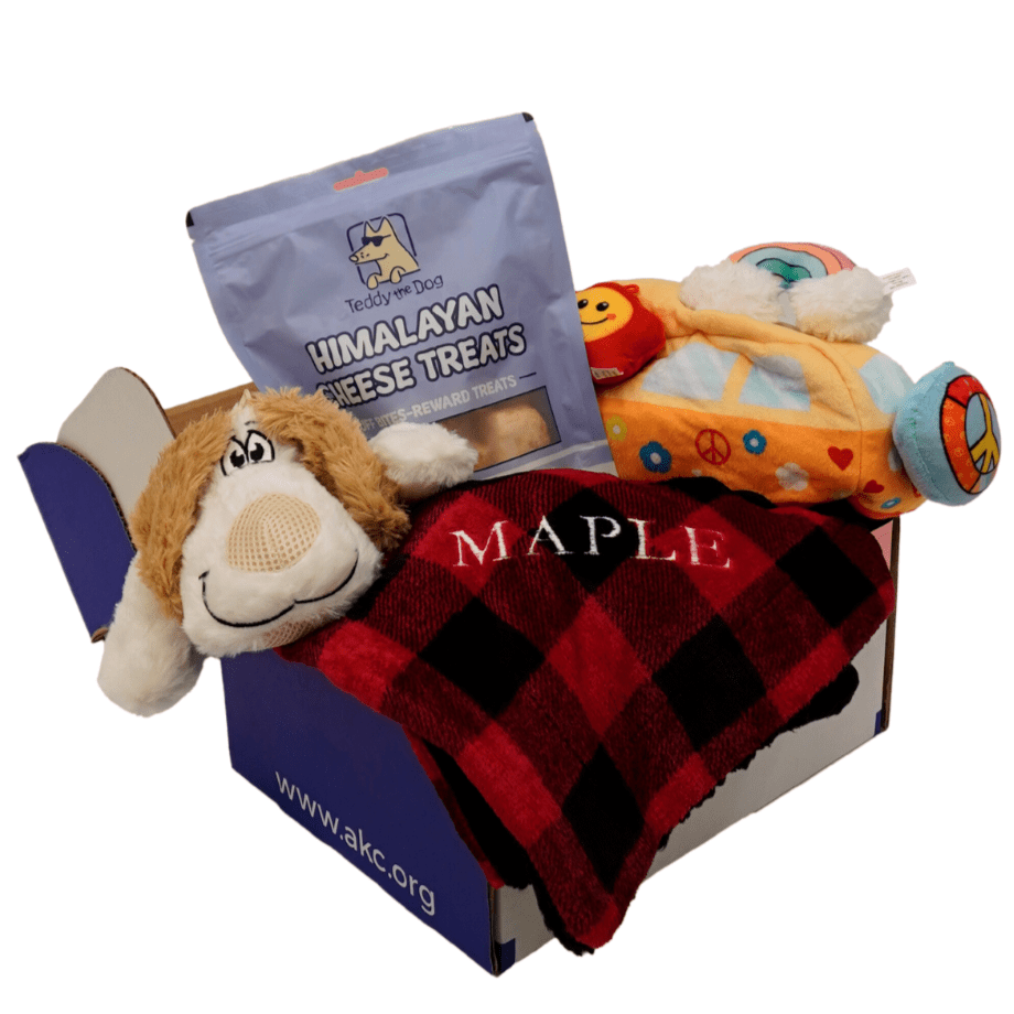 New puppy gift box best sale