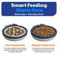 American Kennel Club 2-Pack Collapsible Travel Bowls for Dogs – Blue/Gray, Portable Food & Water Bowls