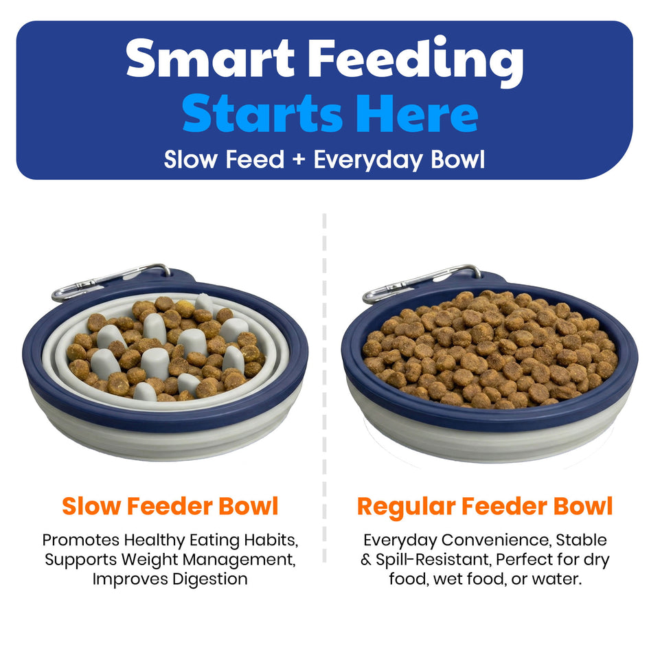 American Kennel Club 2-Pack Collapsible Travel Bowls for Dogs – Blue/Gray, Portable Food & Water Bowls
