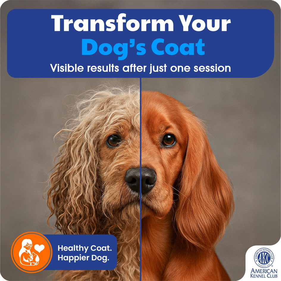 AKC-Dog & Cat Detangle Rake Style Brush | Durable & Effective | Anti- Slip & Easy Maintenance | Portable & Easy to Use | Stainless Steel Blades & Safety Guard | Detangling and Dematting Comb for Pets
