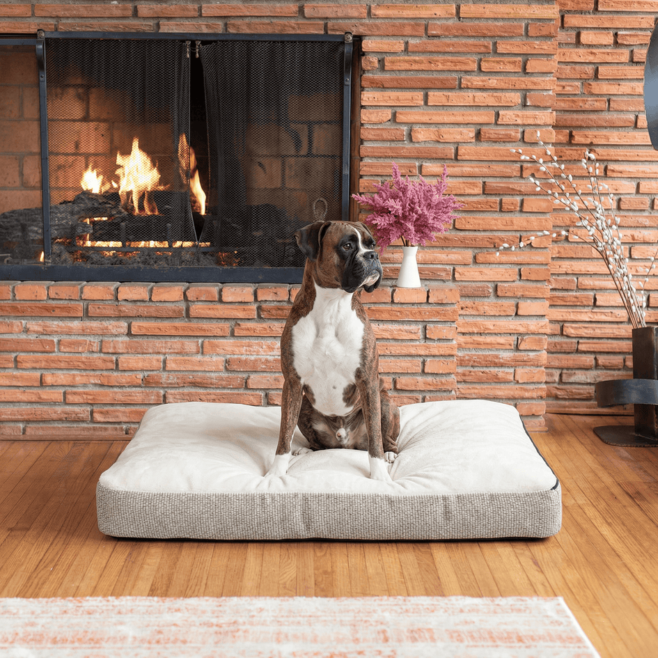 Snoozer Slumber Spot Dog Bed