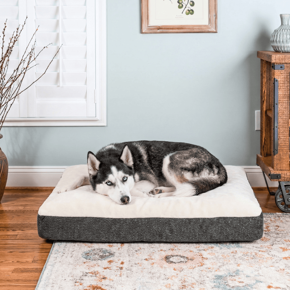 Snoozer Slumber Spot Dog Bed