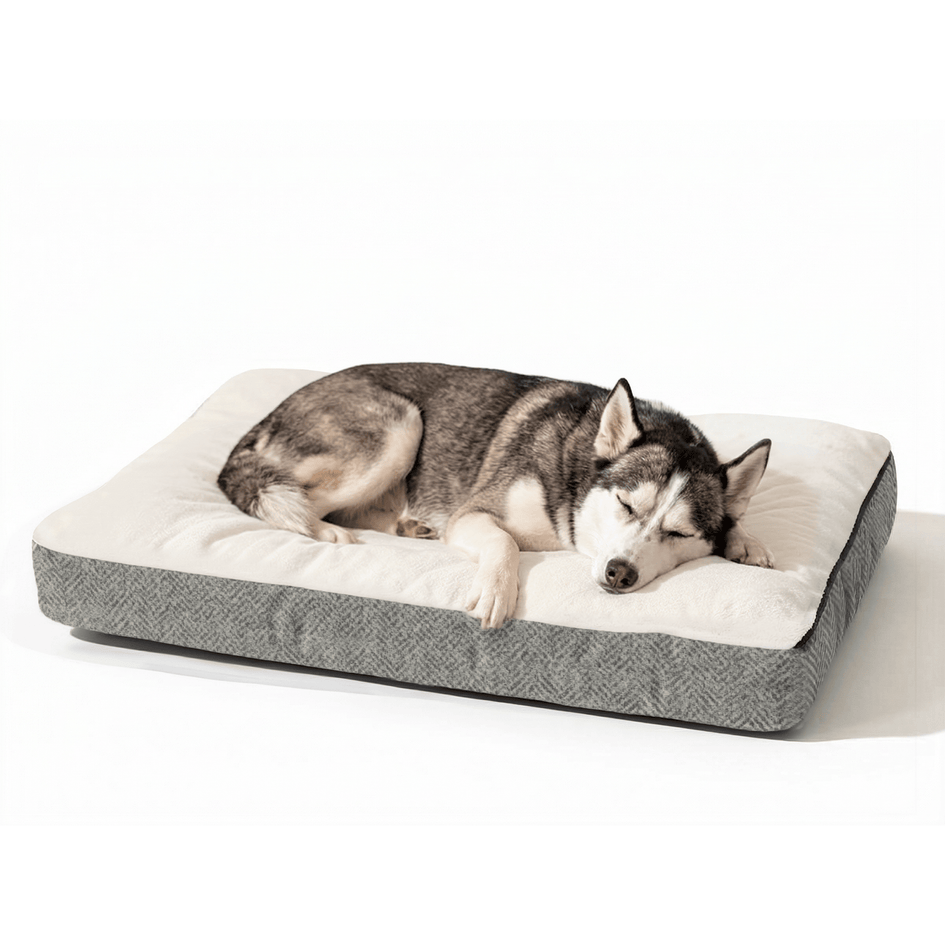 Snoozer Slumber Spot Dog Bed