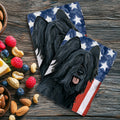 Briard Americana Kitchen Towel Set