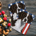 Brittany Americana Kitchen Towel Set