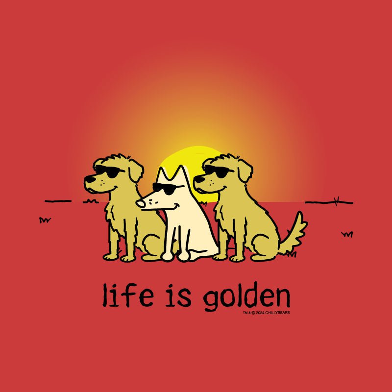 Life is Golden - Ladies Curvy V-Neck Tee