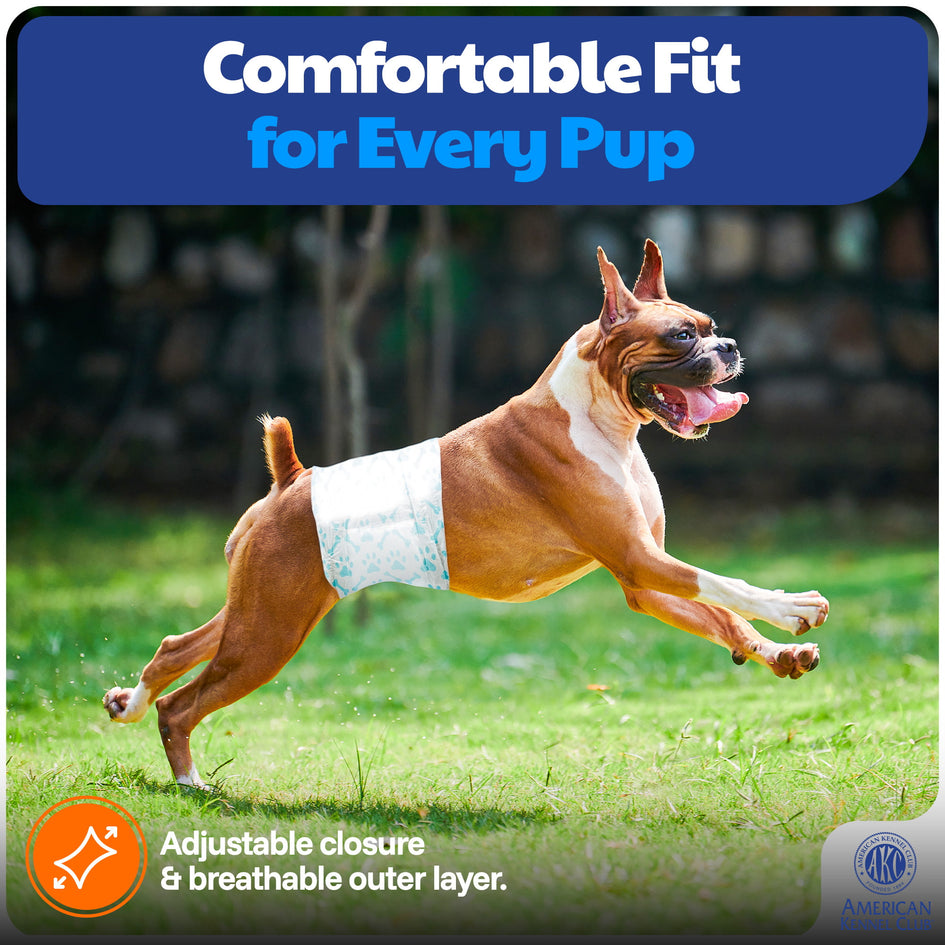 American Kennel Club Male Dog Wrap, Disposable Diapers with Wetness Indicator, Large, 50 Count