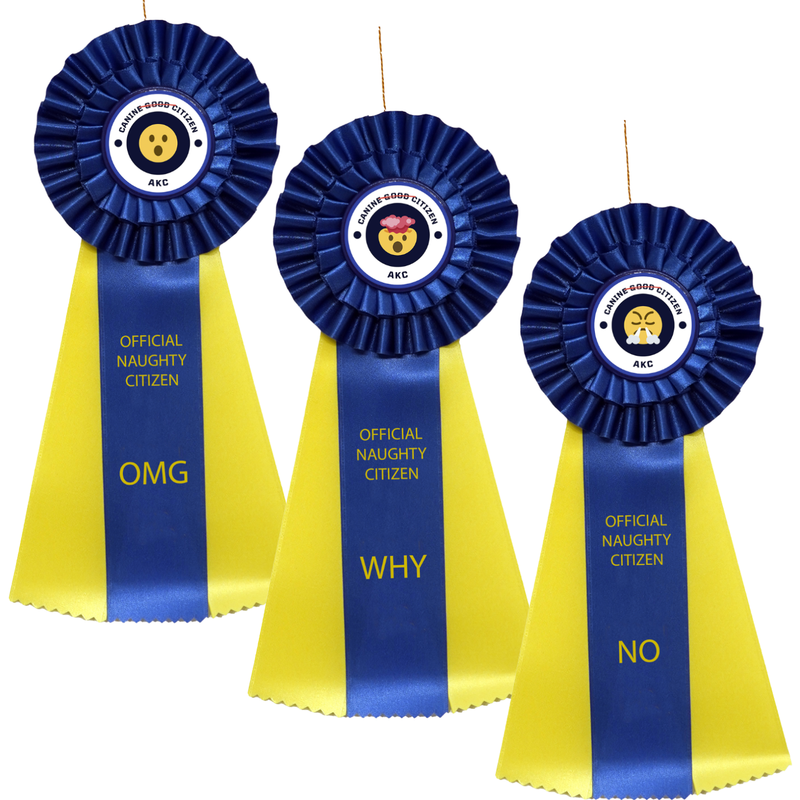 (3 Pk) - Canine Naughty Citizen Rosettes