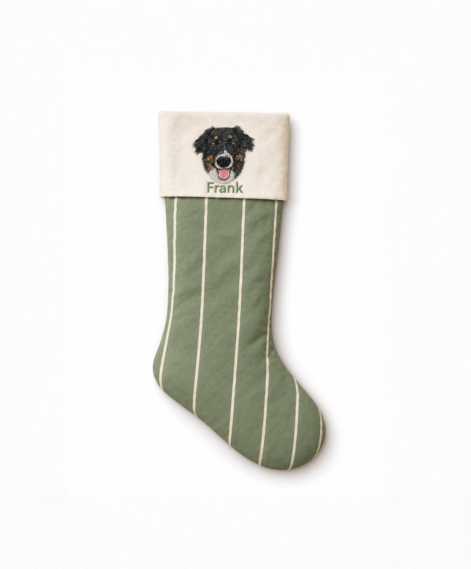 The Holiday Pet Stocking