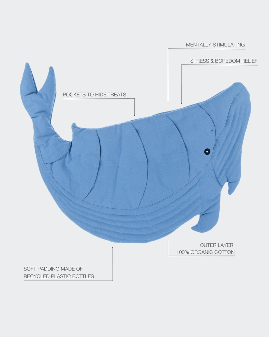 PAIKKA Whale Interactive Playmat