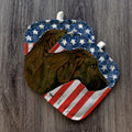 Plott Hound Americana Pot Holder Set