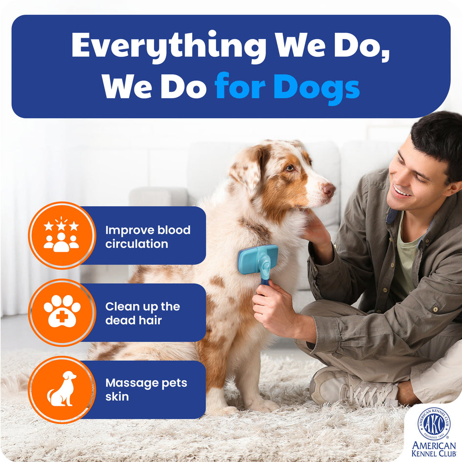 American Kennel Club AKC Self-Cleaning Pet Grooming Slicker Brush for Cats and Dogs, All Breeds and Coat Types