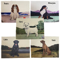 Chinook Scenic Placemats