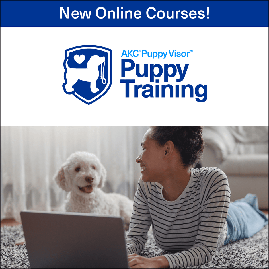 Puppy Training Series – Online Courses