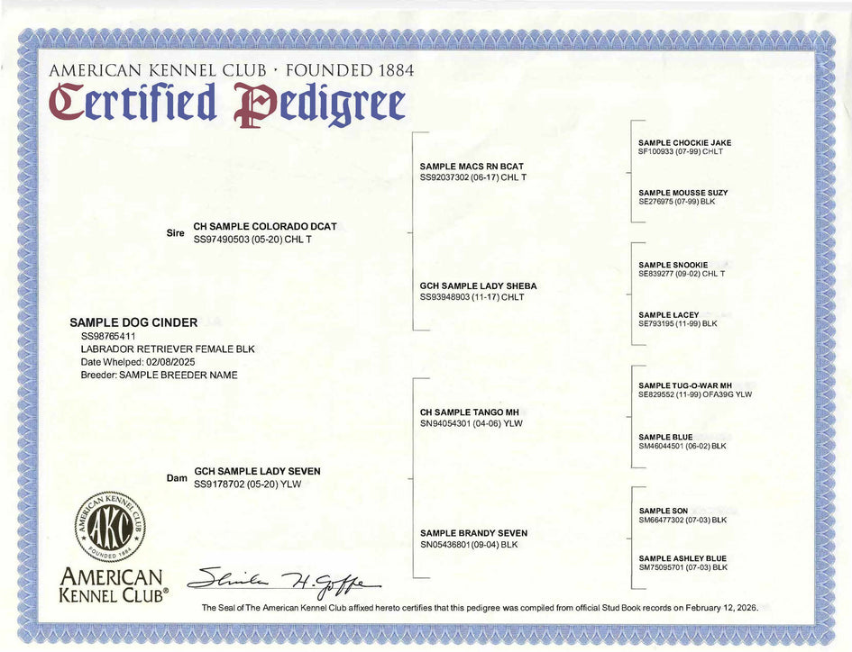 AKC Certified Pedigrees