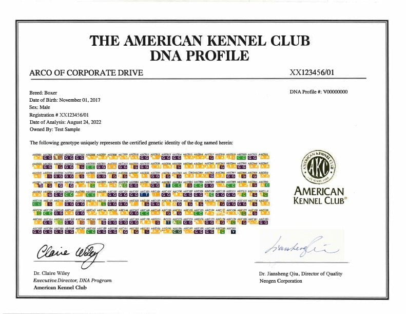 The American Kennel Club DNA Profile Certificate