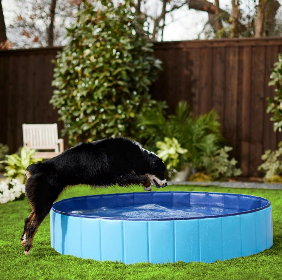 Frisco Outdoor Dog Swimming Pool