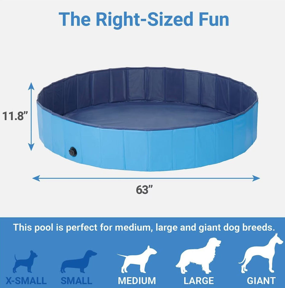 Frisco Outdoor Dog Swimming Pool