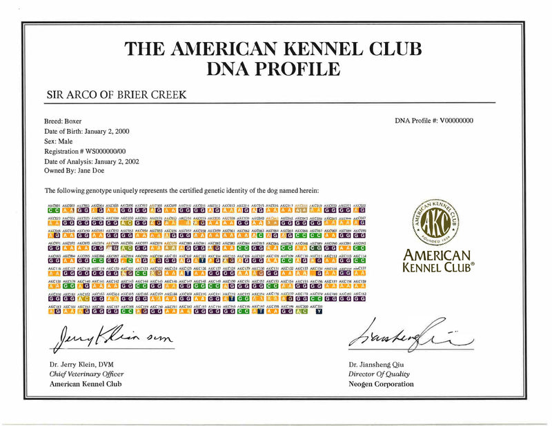 AKC DNA Profile Certificate