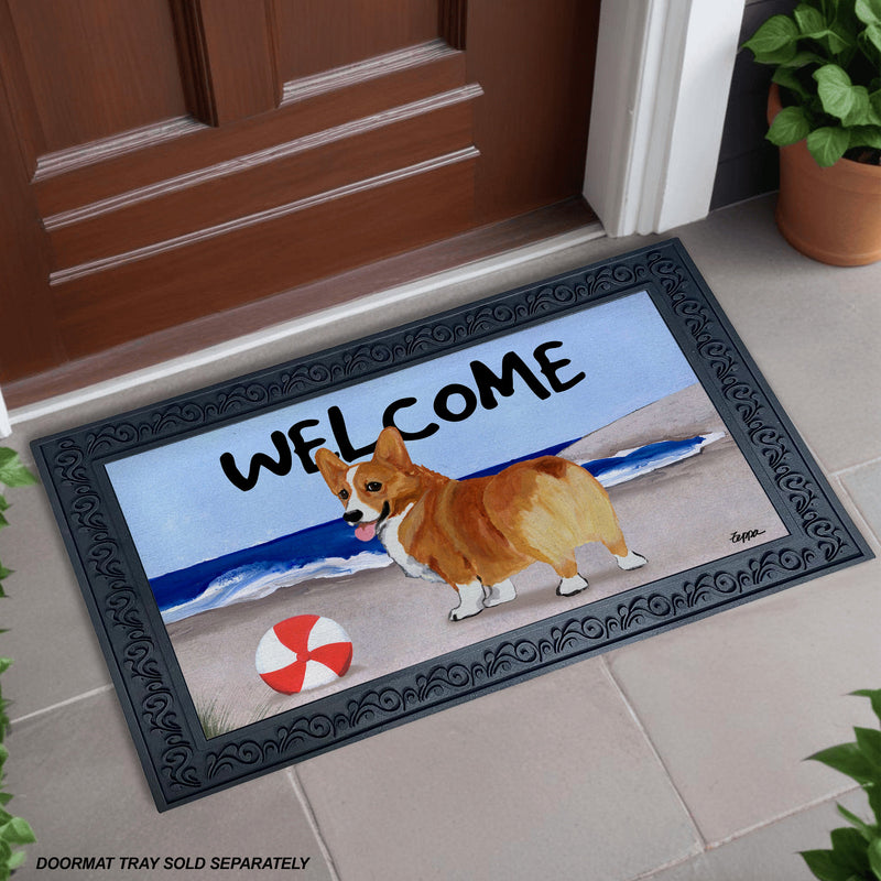 Pembroke Welsh Corgi | AKC Shop Pembroke Welsh Corgi | AKC Shop