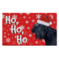 Bouvier Holiday Welcome Mat