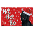 Briard Holiday Welcome Mat