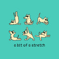 Bit of a Stretch- Lightweight Tee