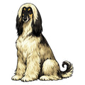 Afghan Hound Watercolor - Ceramic Mug