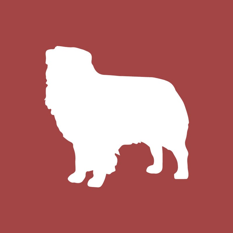 Australian Shepherd Embroidered AKC Quarter Zip