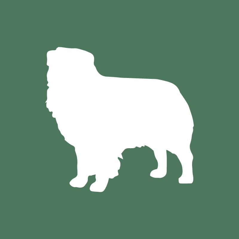 Australian Shepherd Embroidered AKC Quarter Zip