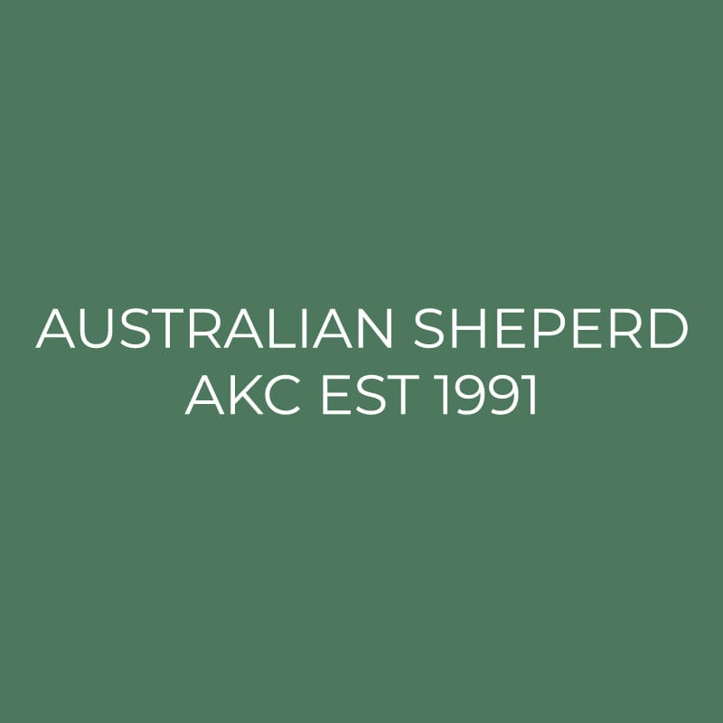 Australian Shepherd Embroidered AKC Quarter Zip