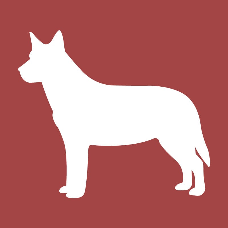 Australian Cattle Dog Embroidered AKC Quarter Zip