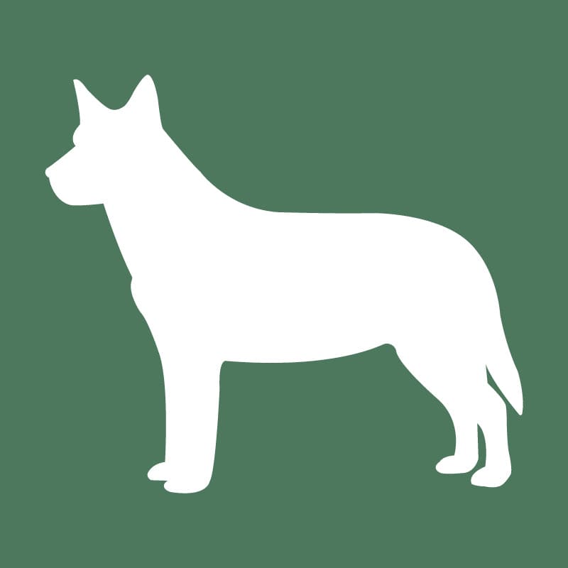 Australian Cattle Dog Embroidered AKC Quarter Zip