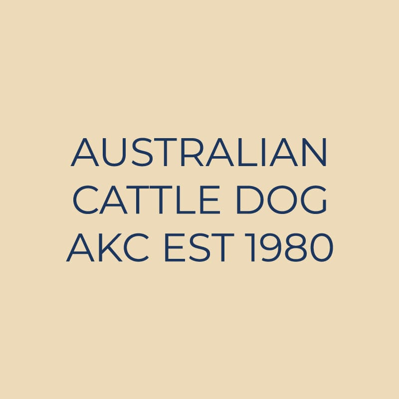 Australian Cattle Dog Embroidered AKC Quarter Zip