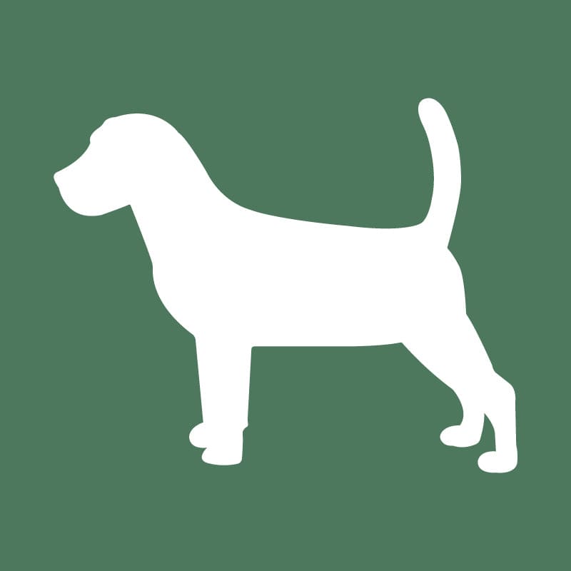 Beagle Embroidered AKC Quarter Zip