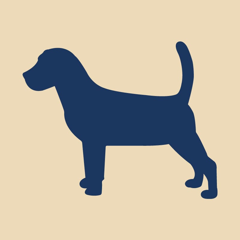 Beagle Embroidered AKC Quarter Zip