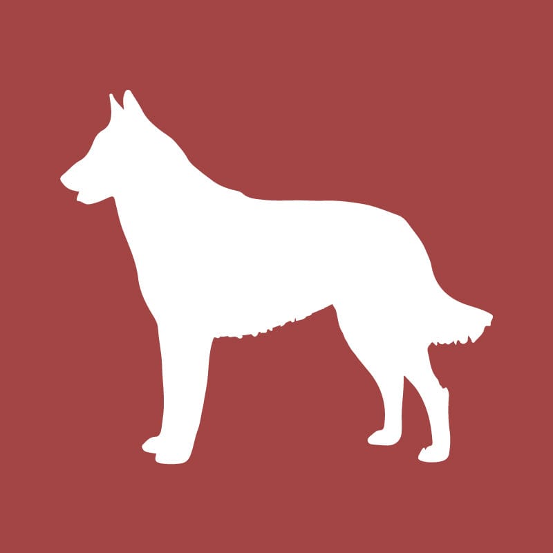 Belgian Malinois Embroidered AKC Quarter Zip