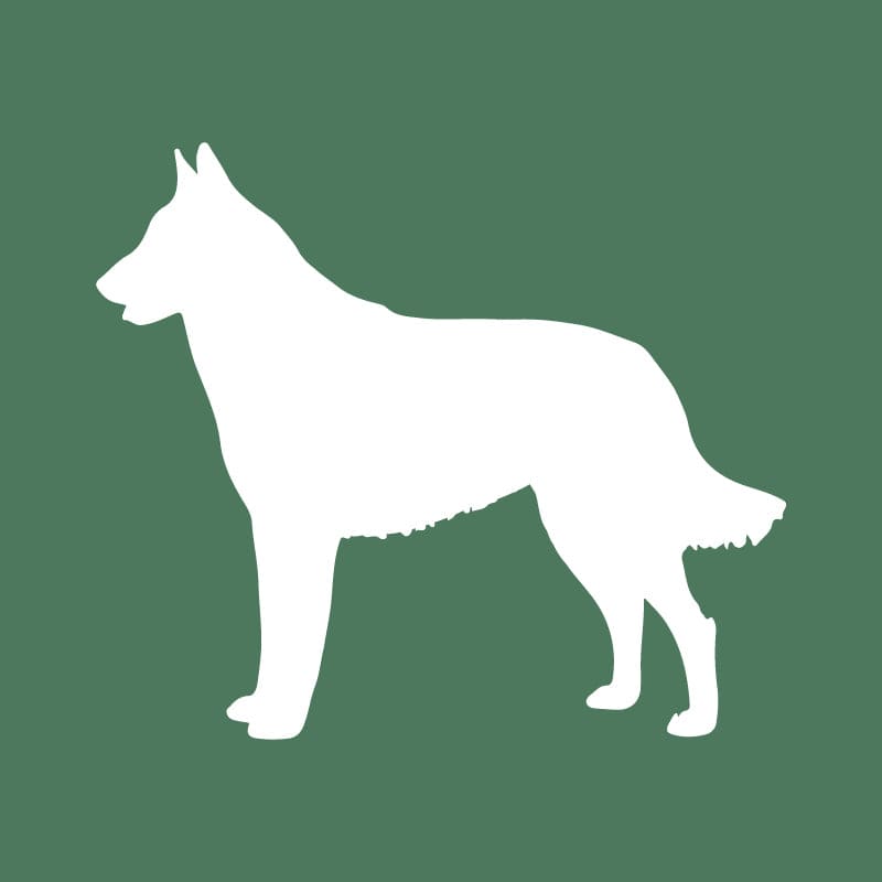 Belgian Malinois Embroidered AKC Quarter Zip