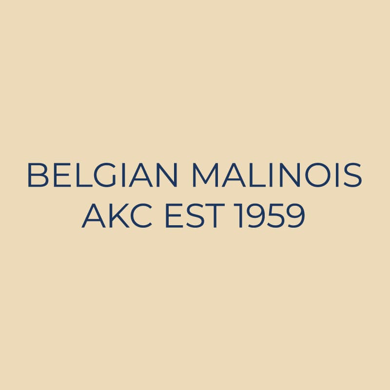 Belgian Malinois Embroidered AKC Quarter Zip