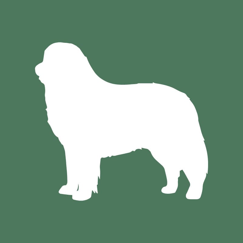 Bernese Mountain Dog Embroidered AKC Quarter Zip