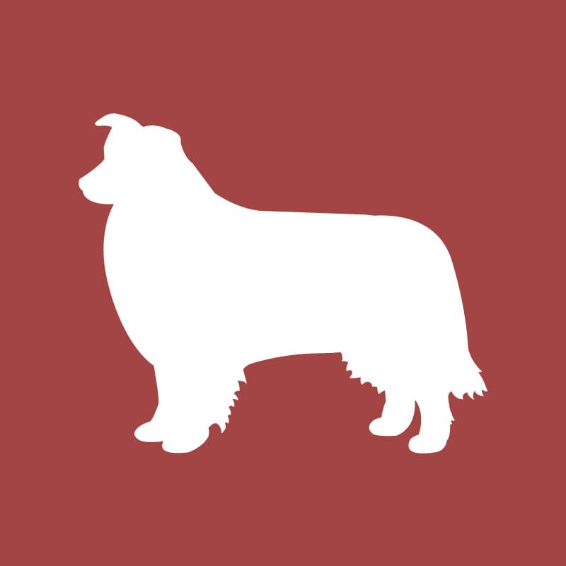 Border Collie Embroidered AKC Quarter Zip