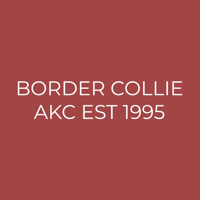 Border Collie Embroidered AKC Quarter Zip