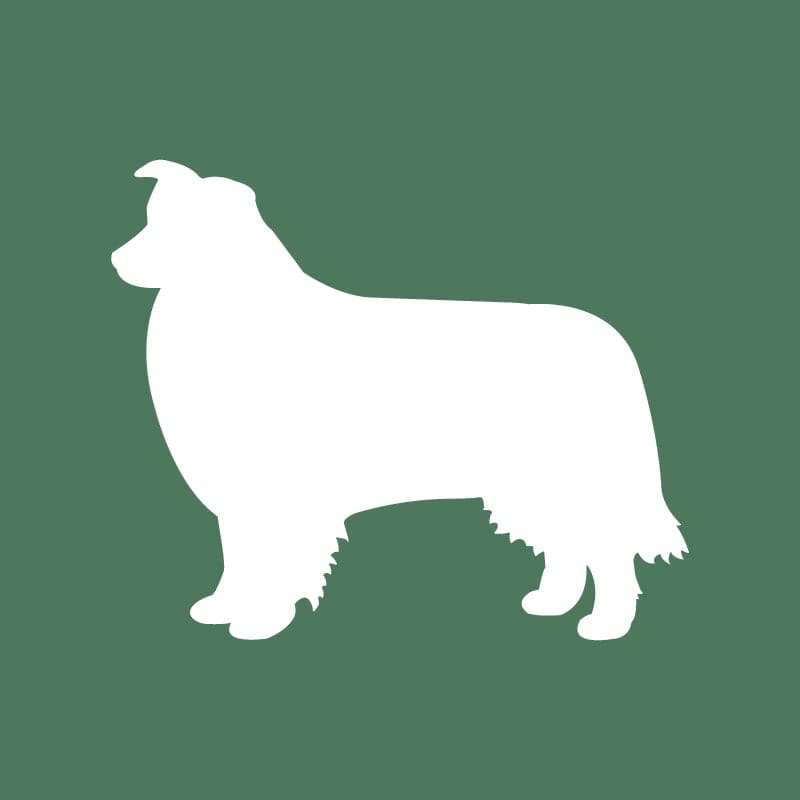 Border Collie Embroidered AKC Quarter Zip