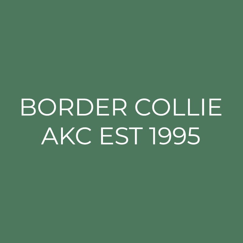 Border Collie Embroidered AKC Quarter Zip