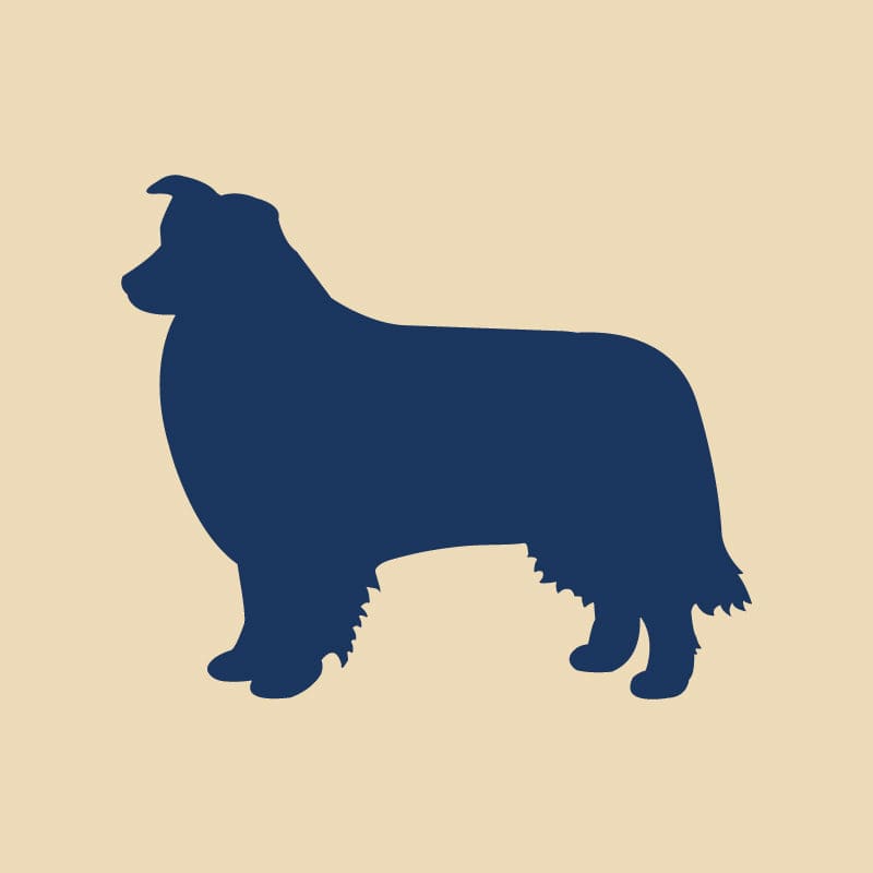 Border Collie Embroidered AKC Quarter Zip
