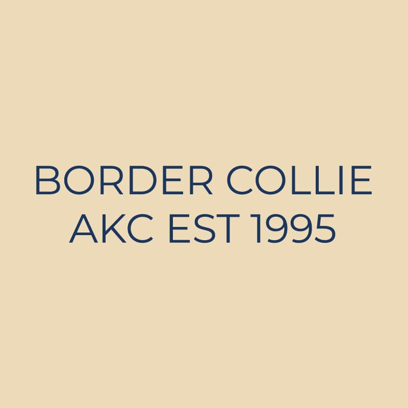 Border Collie Embroidered AKC Quarter Zip
