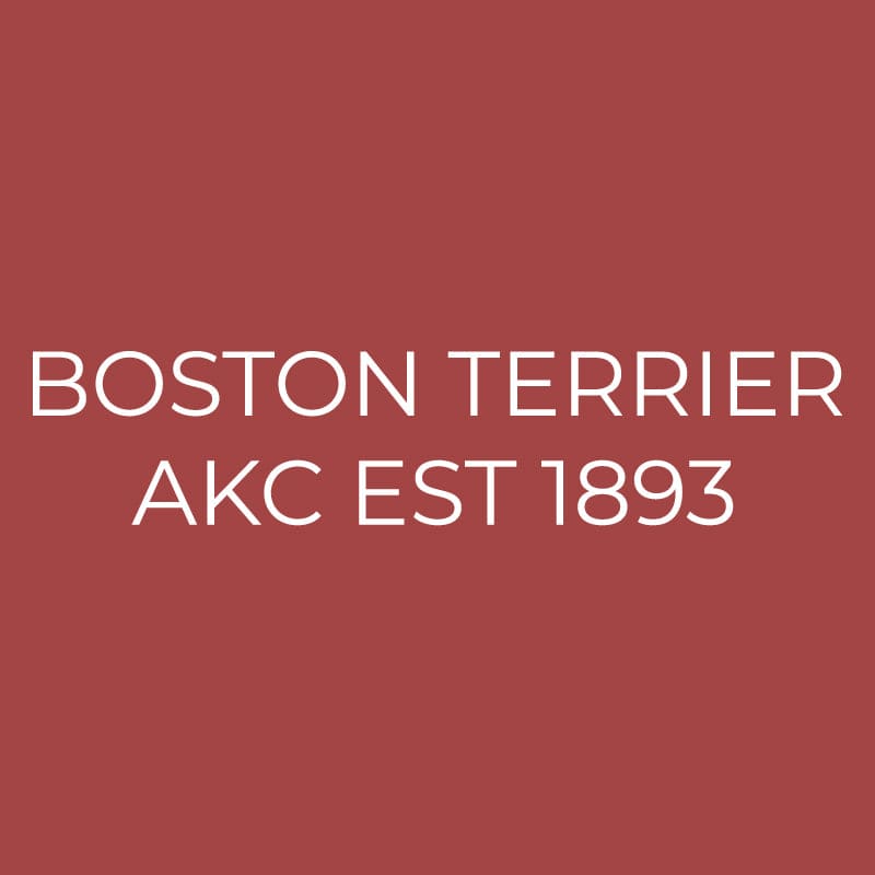 Boston Terrier Embroidered AKC Quarter Zip