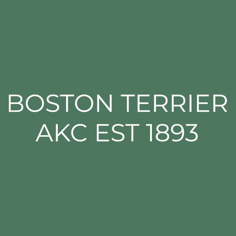 Boston Terrier Embroidered AKC Quarter Zip